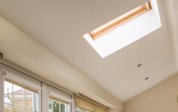 Dorton conservatory roof insulation companies