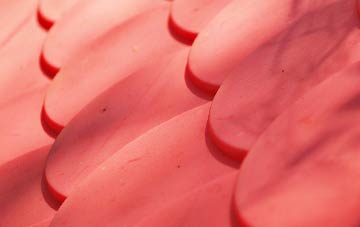 Dorton plastic roof costs