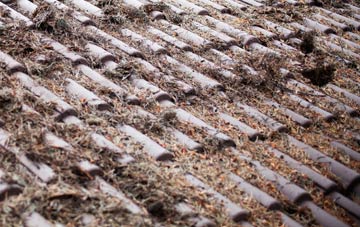 Dorton roof cleaning companies